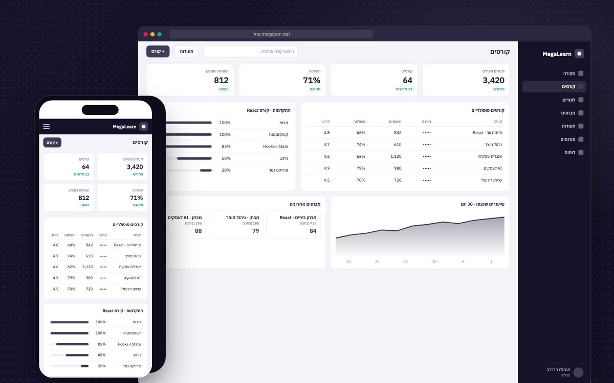 MegaLearn